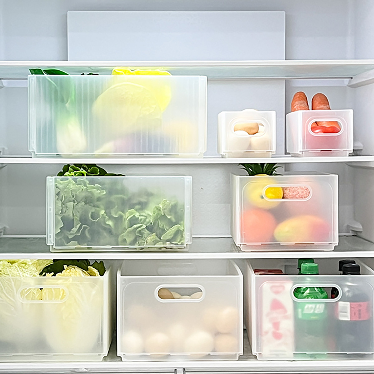 WORTHBUY-caja de almacenamient - Food Storage Without Plastic reseña y precio