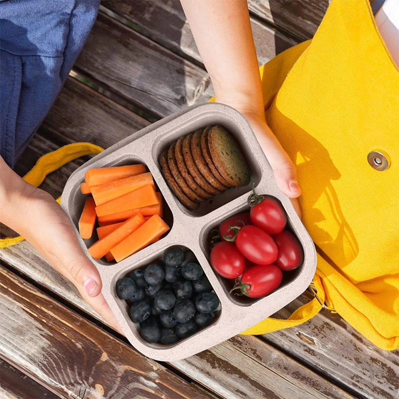 Caja de almacenamiento de alim - Food Storage Freezer reseña y precio